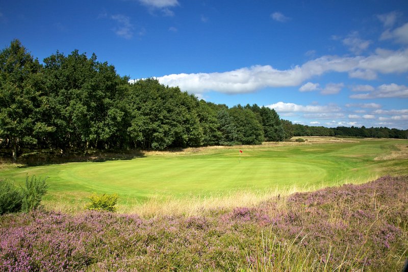 Testing rough at Alwoodley Golf Club, Leeds, England