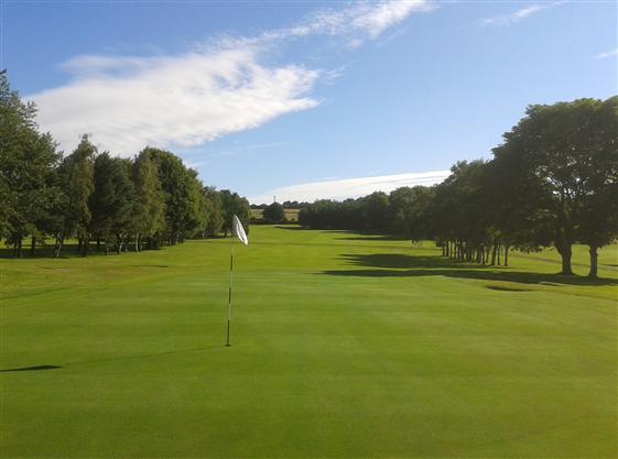 Through the trees at Howley Hall Golf Club, Yorkshire, England
