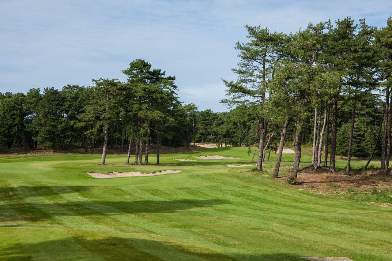 Some holes at Hardelot Les Pins Golf Club, France, require you to weave through the trees