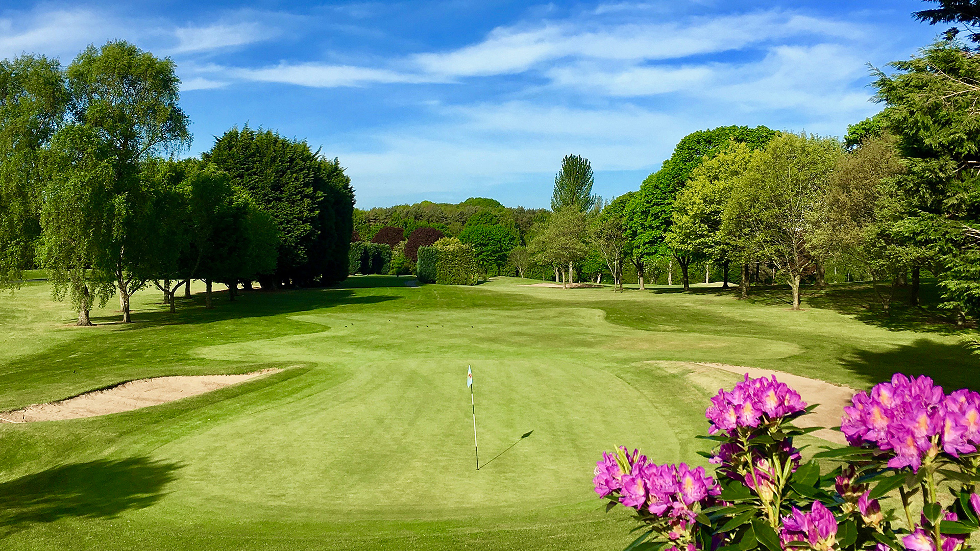 Knock Golf Club, East Belfast