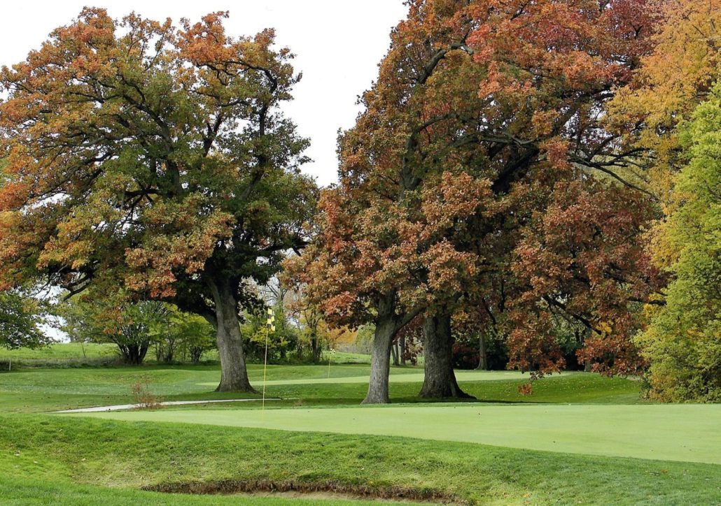 On the green at Monticello Golf Club, Cassina Rizzardi, Italy