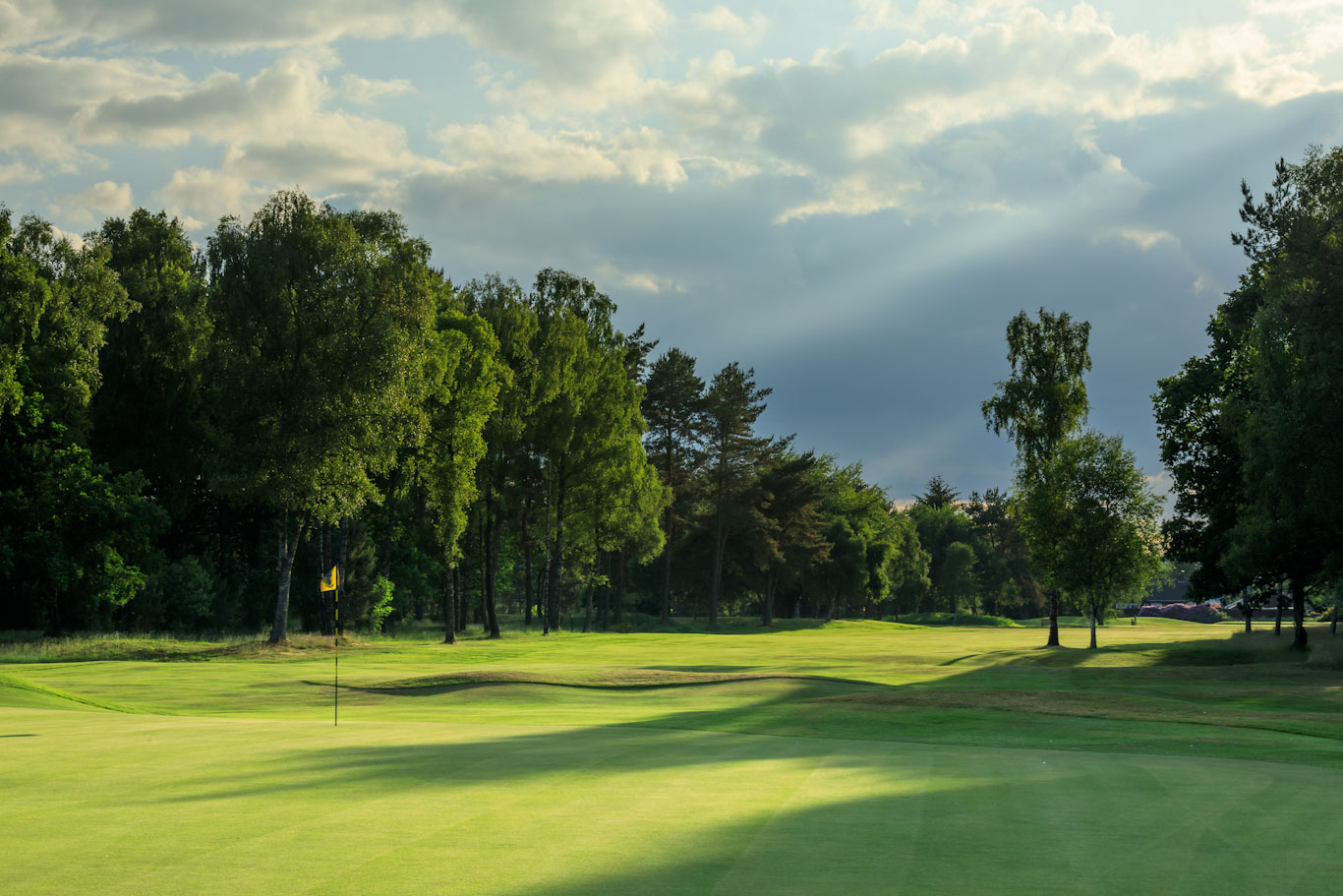 Tree-lined fairways at Blairgowrie Golf Club, Perthshire, Scotland