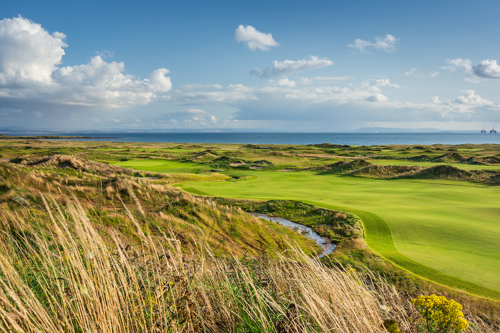 The wilds of Dumbarnie Links, Fife, Scotland