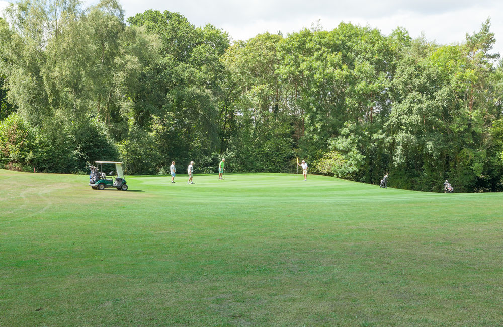 Playing down the hill to the green at Bramshaw Golf Club, Hampshire, England