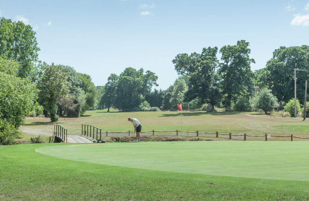 Golfer putting at Bramshaw Golf Club, Hampshire. England