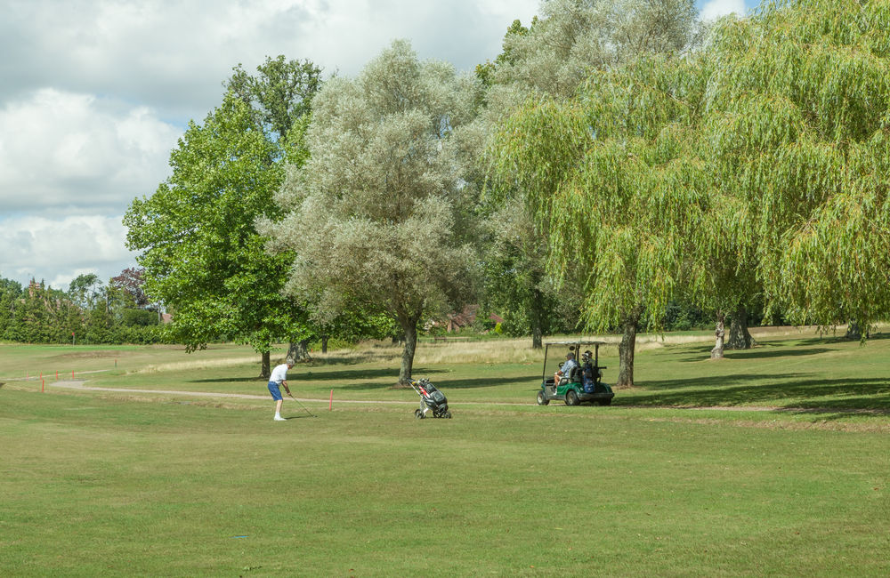 Golfer taking a tricky fairway shot at Bramshaw Golf Club, Hampshire, England