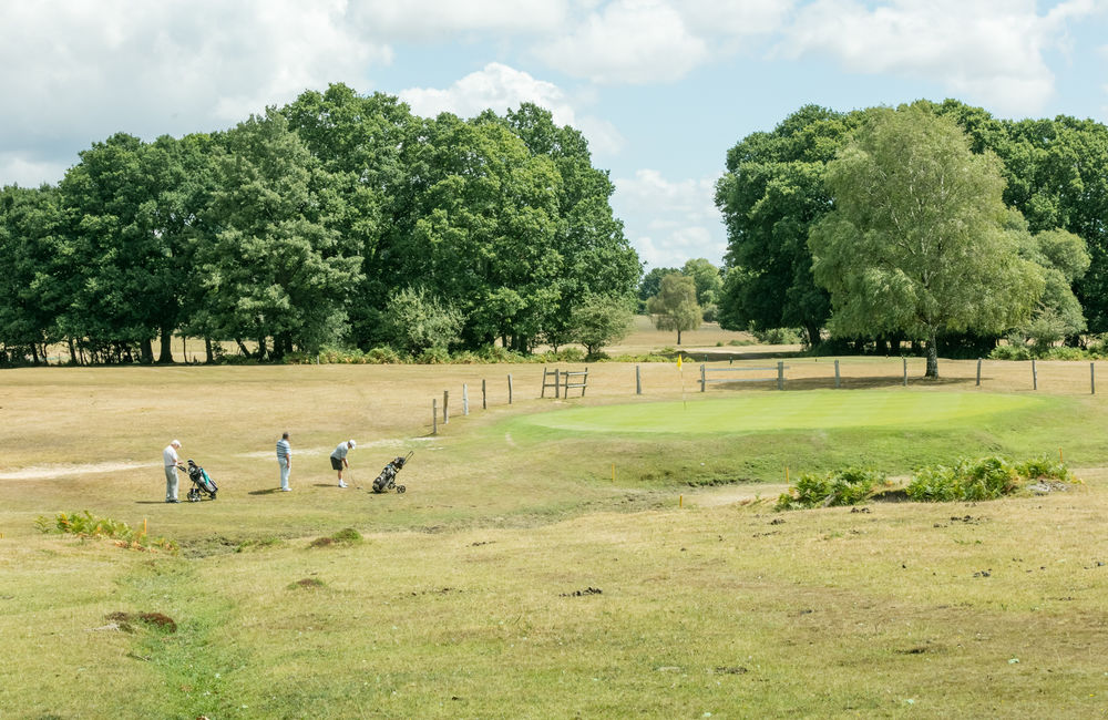 Golfer chipping onto the green at Bramshaw Golf Club, Hampshire, England