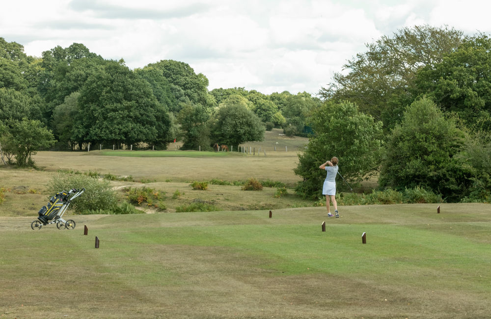 Golfer teeing off at Bramshaw Golf Club, Hampshire, England