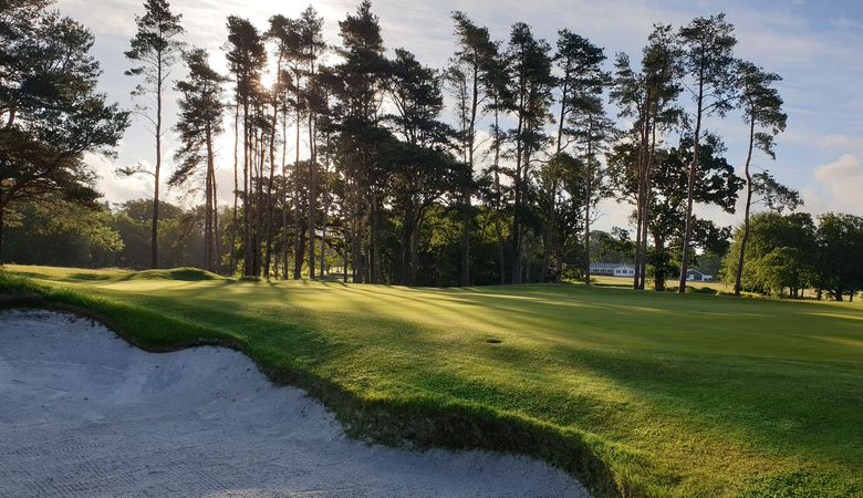 Through the trees at Brokenhurst Manor Golf Club, Poole, Dorset, England