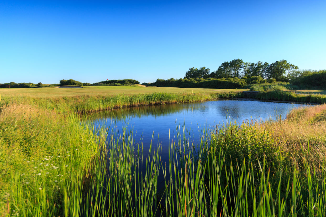 Cooden Beach Golf Club, Bexhill-on-Sea