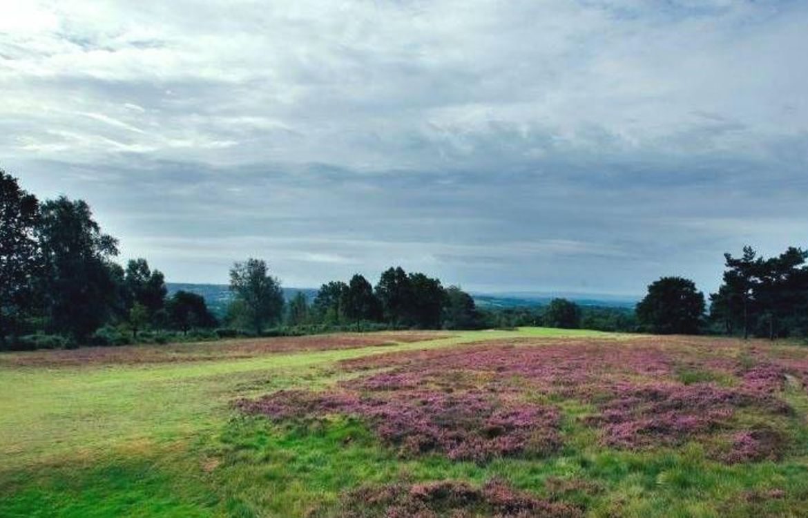 Testing rough at Crowborough Beacon Golf Club, England