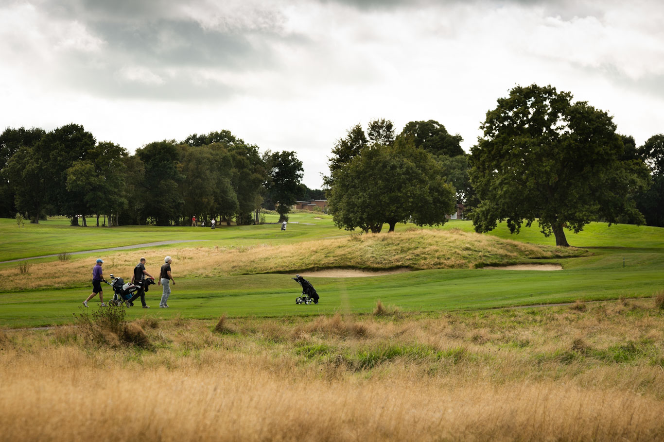 Dale Hill Golf Club, East Sussex