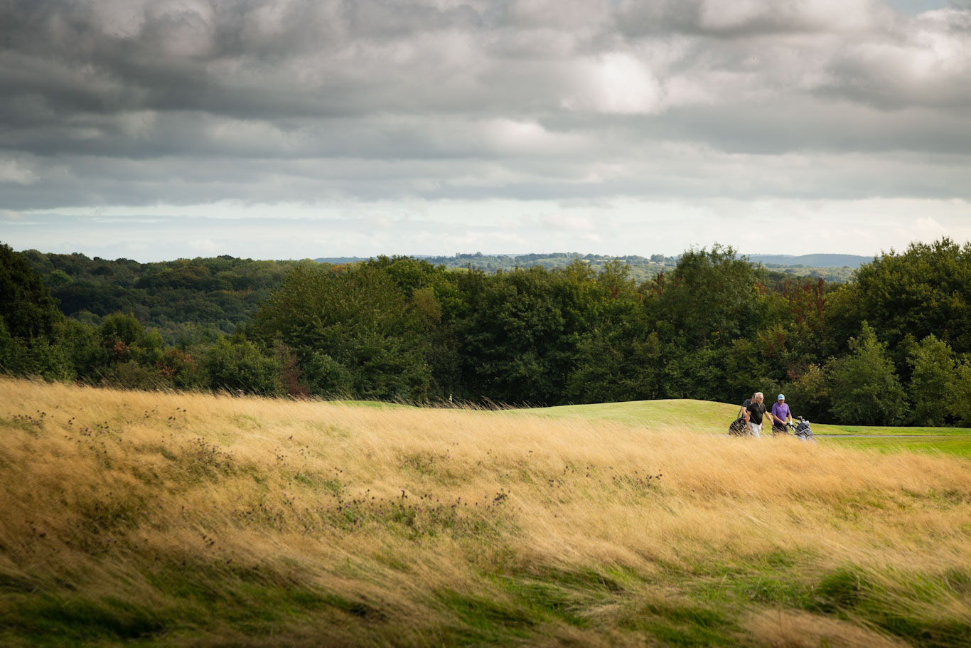 Dale Hill Golf Club, East Sussex