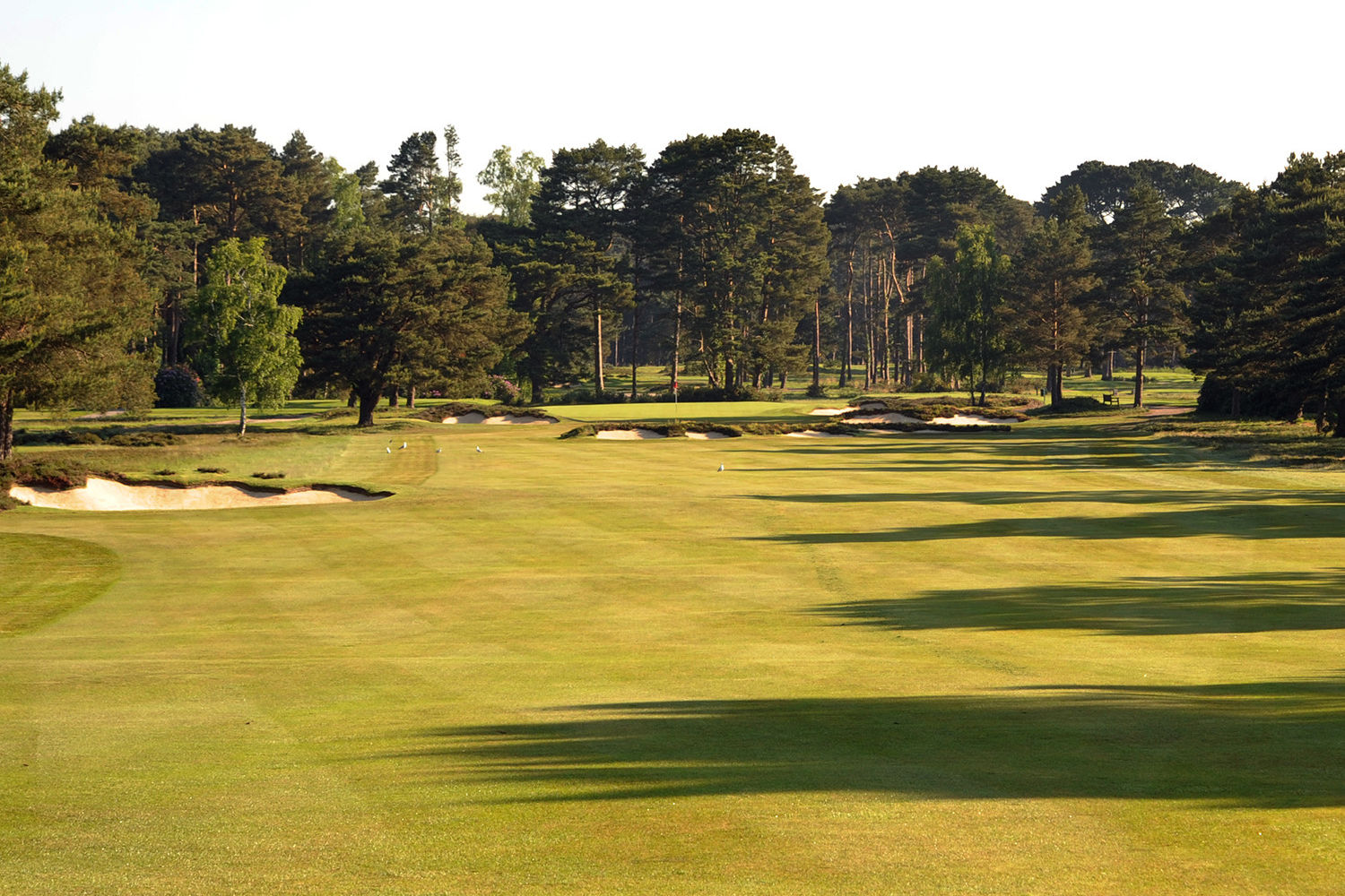 Ferndown Golf Club, Dorset