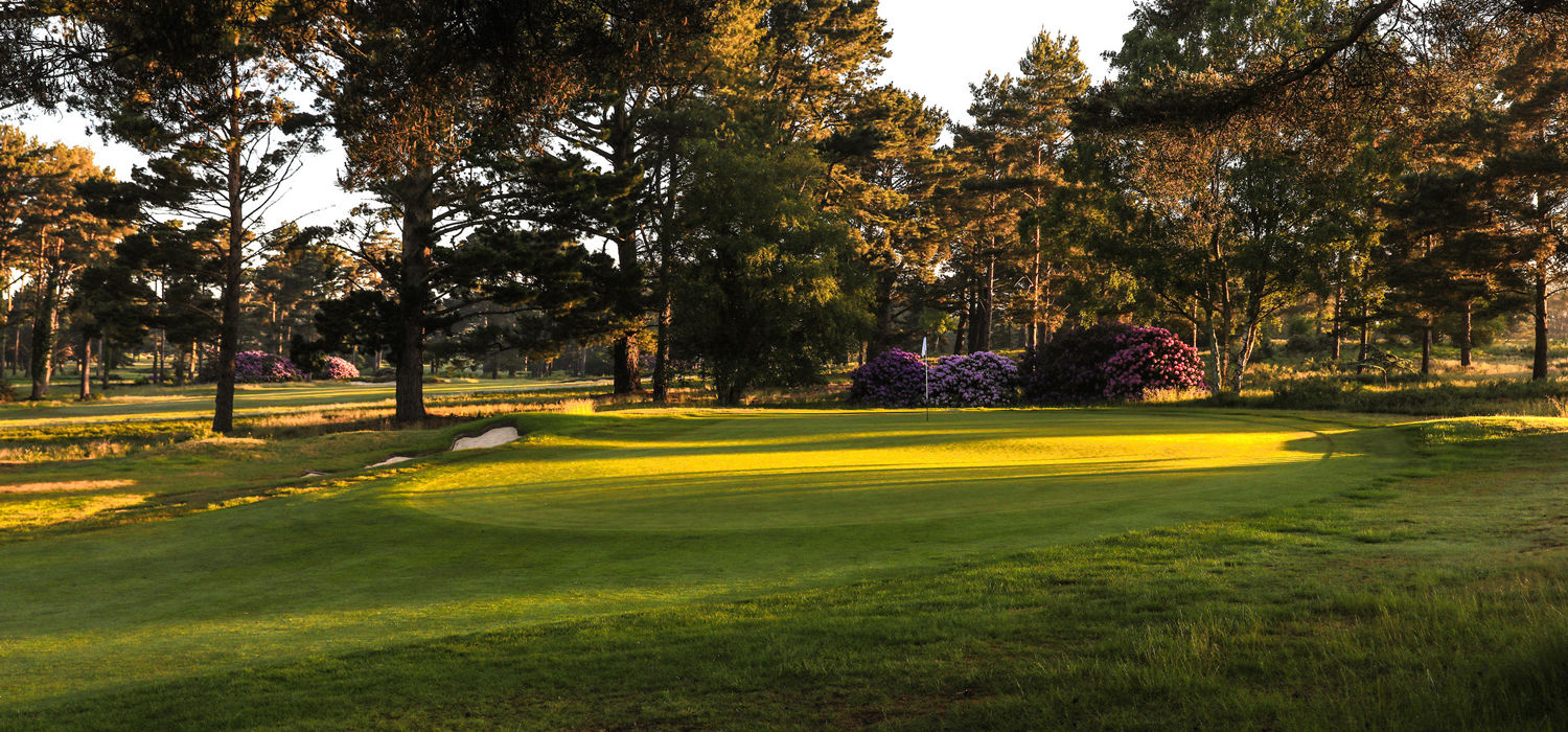 Ferndown Golf Club, Dorset