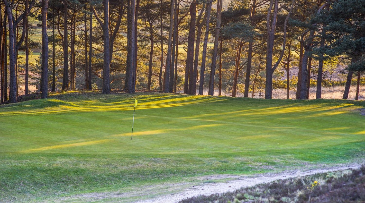 Isle of Purbeck Golf Club, Dorset
