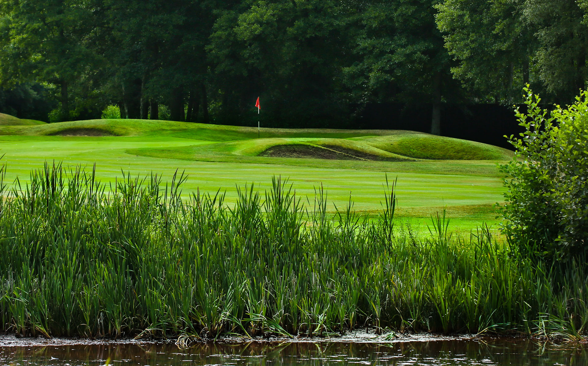 Onto the green at Old Thorns Golf Course, Hampshire, England