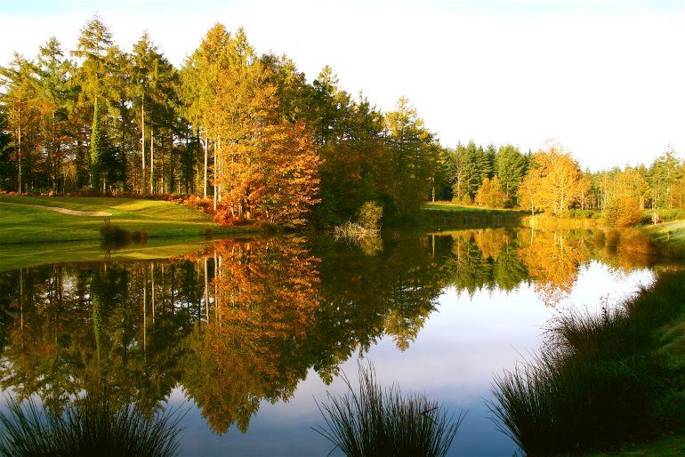 The sixth hole at Remedy Oak Golf Course, Dorset, England