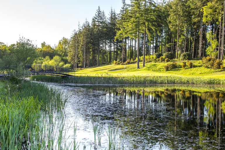 The seventh hole at Remedy Oak Golf Course, Dorset, England