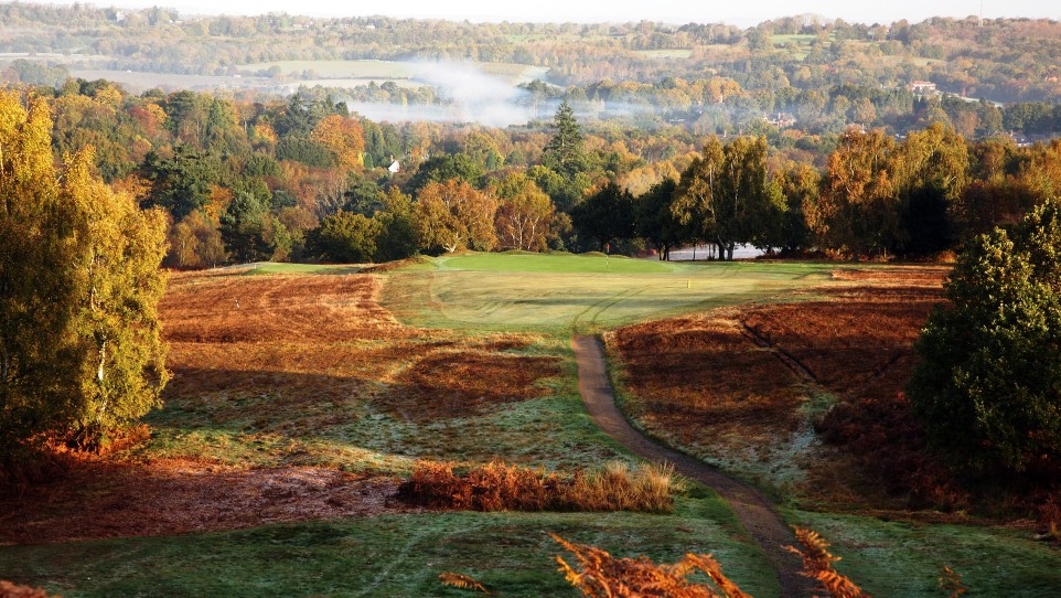 Gorse galore at Royal Ashdown Forest Golf Club Golf Course, Sussex, England. Golf Planet Holidays