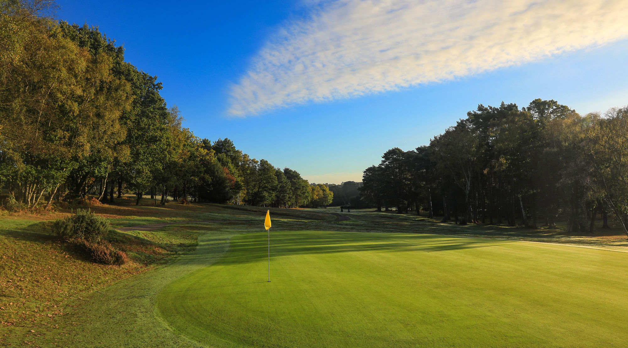 Attractive greens at Royal Ashdown Forest Golf Club, Sussex, England