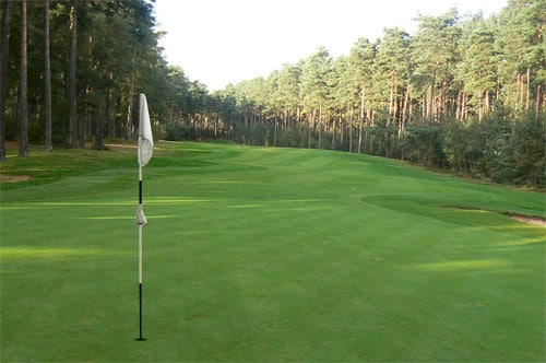 Tree-lined fairways at Woburn - The Duchess' Golf Course-Milton Keynes, England. Golf Planet Holidays