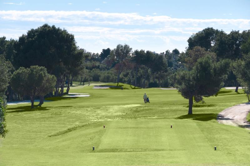 Down the fairway at Golf Villamartin, Alicante, Spain