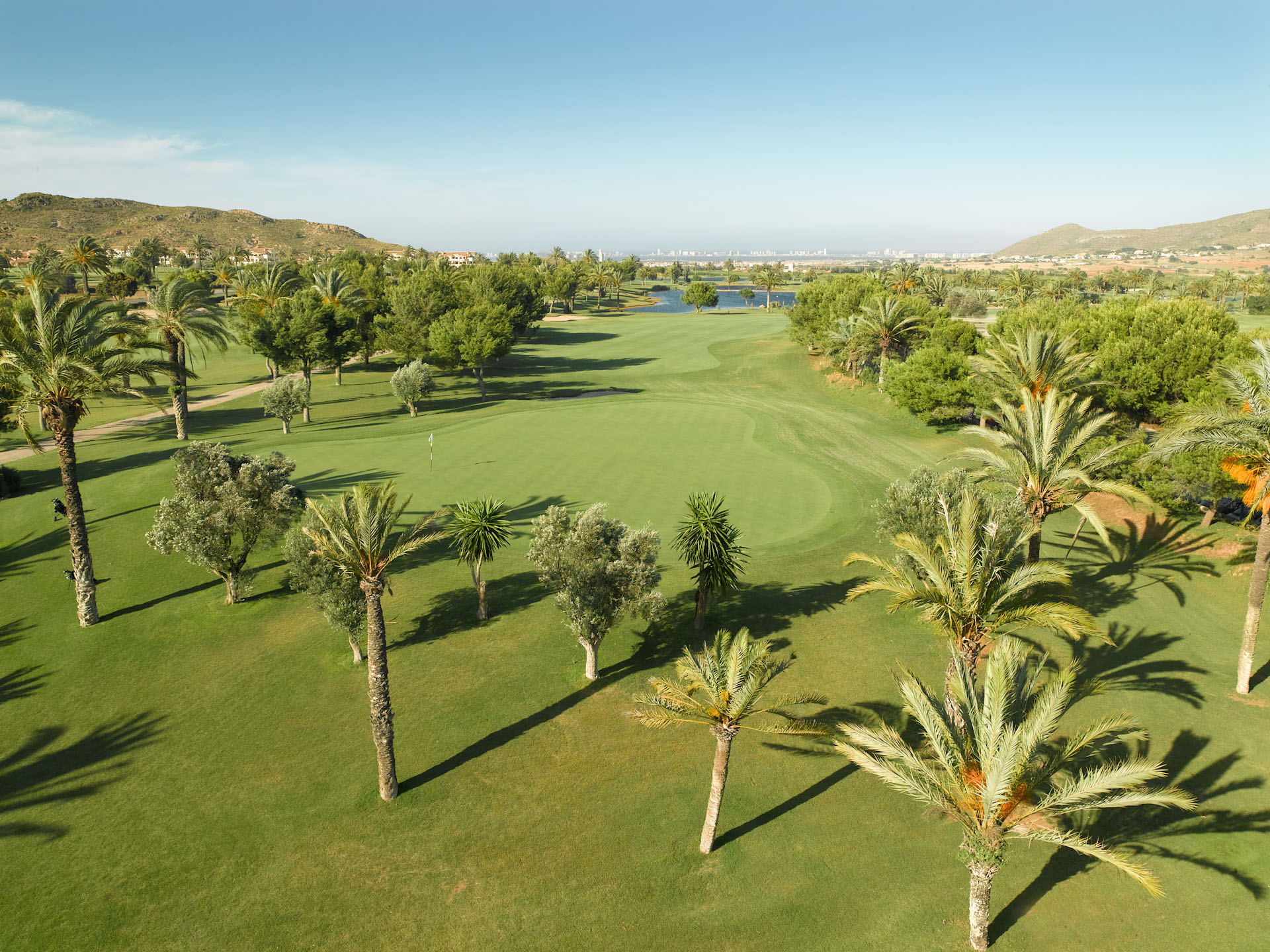Palm trees line the la Manga North course, Spain