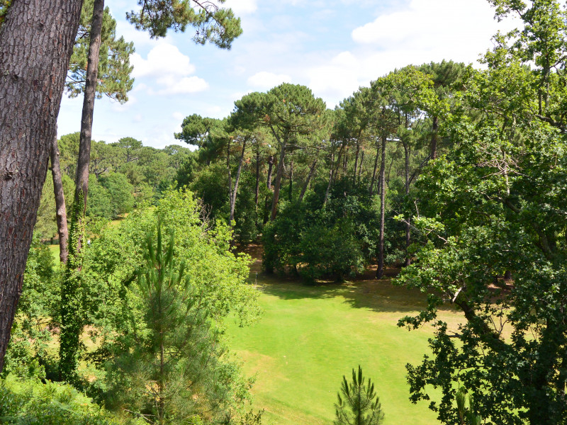 Mature trees at Biscarrosse Golf Club, near Bordeaux, south west France