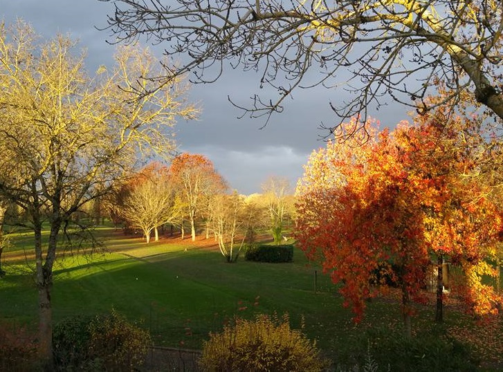 Autumn colours at Bordeaux Lac Golf Club, close to the city in south west France