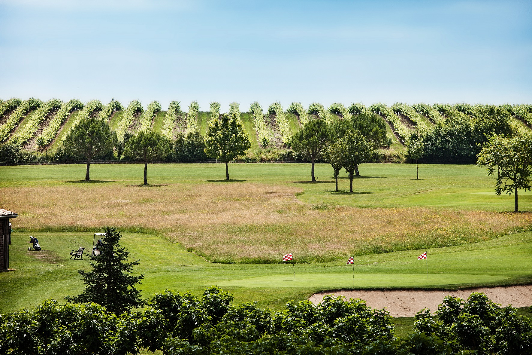 Vineyard backdrop at Chateau des Vigiers, Dordogne, France. Golf Planet Holidays.