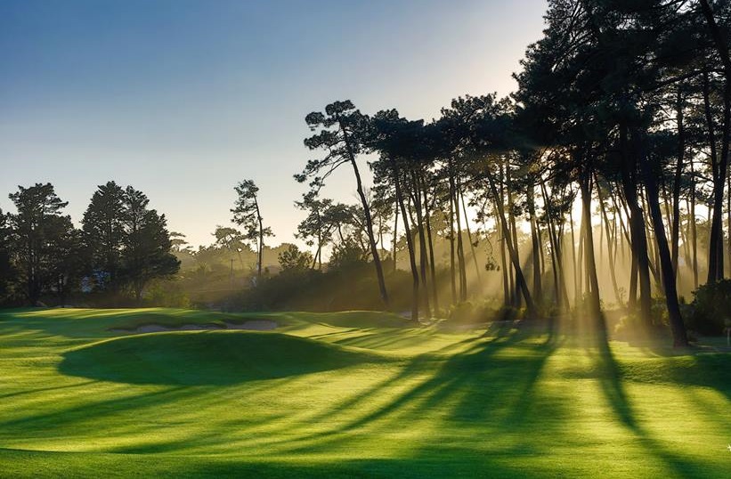 Sunshine through the trees at Chiberta golf course, Biarritz, France