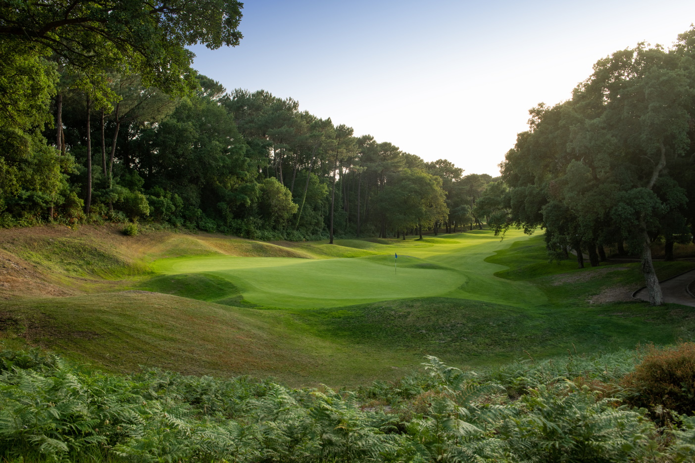 Majestic cork trees line the fairways at Seignosse Golf course, South West France