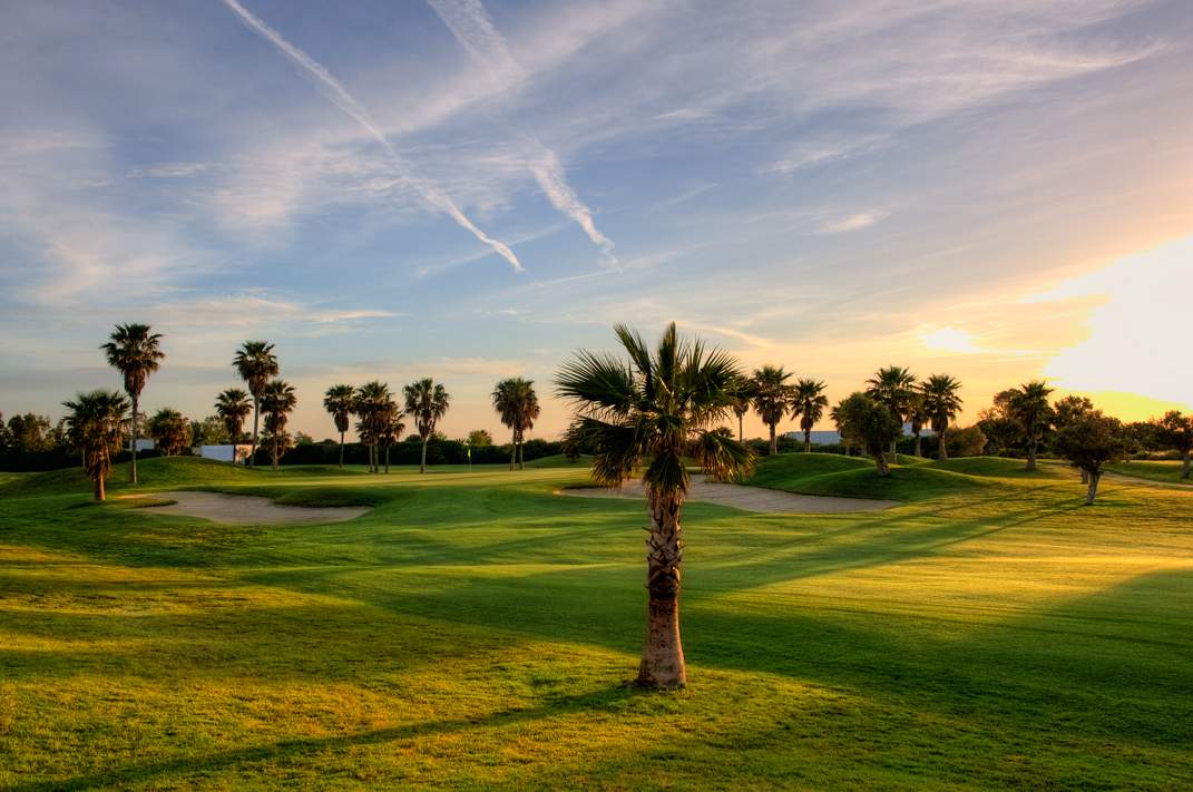 Palm trees line the course at Costa Ballena Ocean Club de Golf, Costa de la Luz, Spain