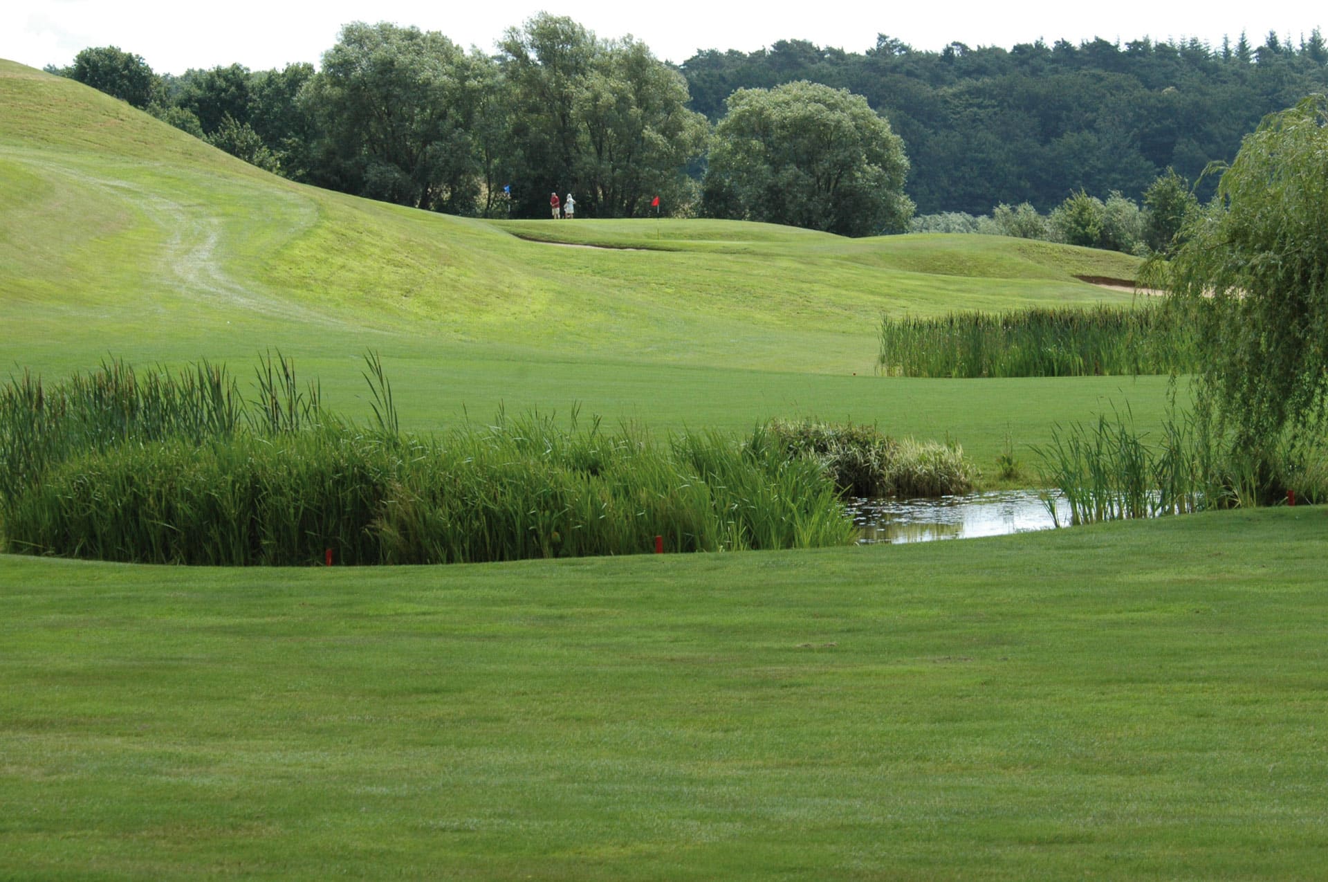 Approaching the green at Golf L'Empereur, near Waterloo, Belgium