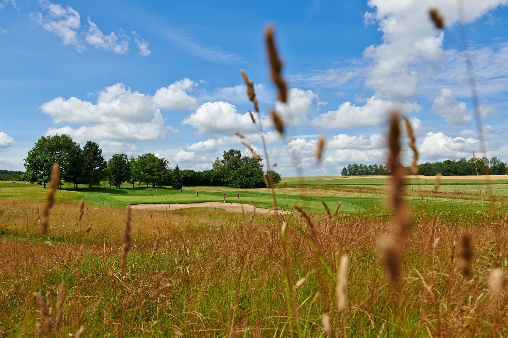 Farmland backdrop for Rigenee Glf Club, near Waterloo, Belgium