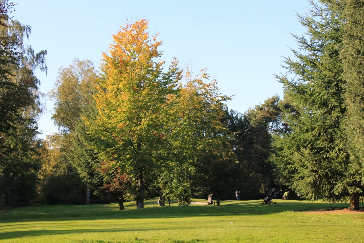 Putting out at Royal Golf Club du Hainaut, near Waterloo, Belgium