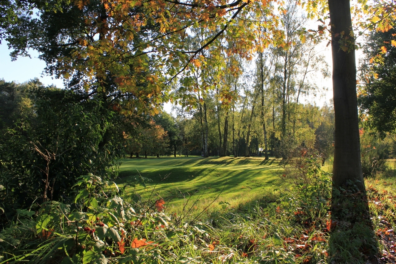 Woodland setting for Royal Golf Club du Hainaut, near Waterloo, Belgium