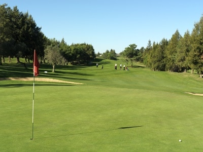 Pestana Alto Golf Course-8179