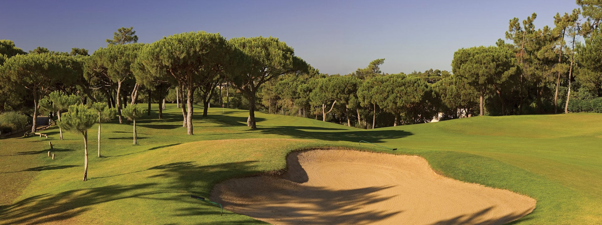 Pinheiros Altos Golf Course-15903