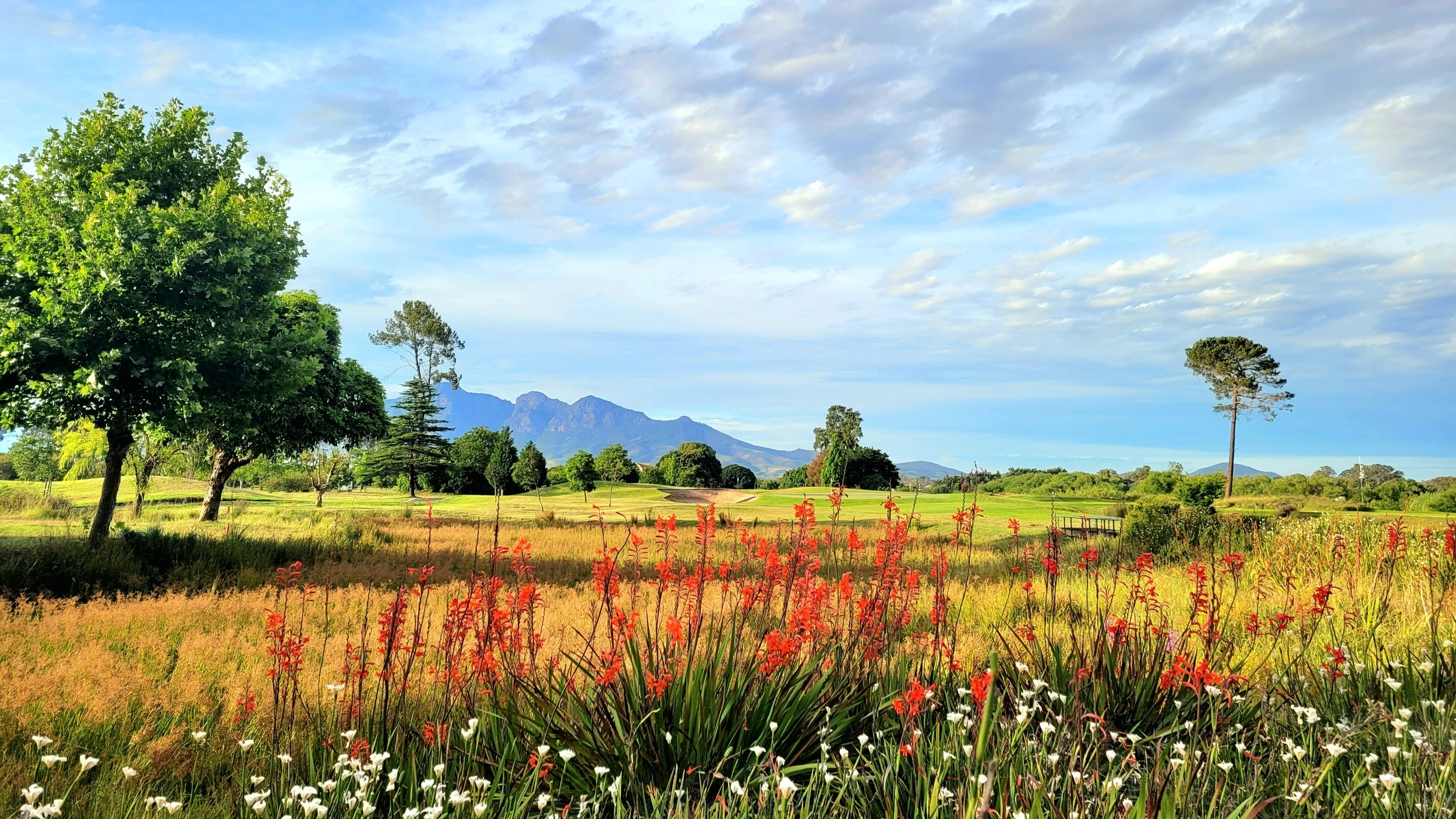 Stunning backdrop to Paarl Golf Club, near Stellenbosch, South Africa. Golf Planet Holidays