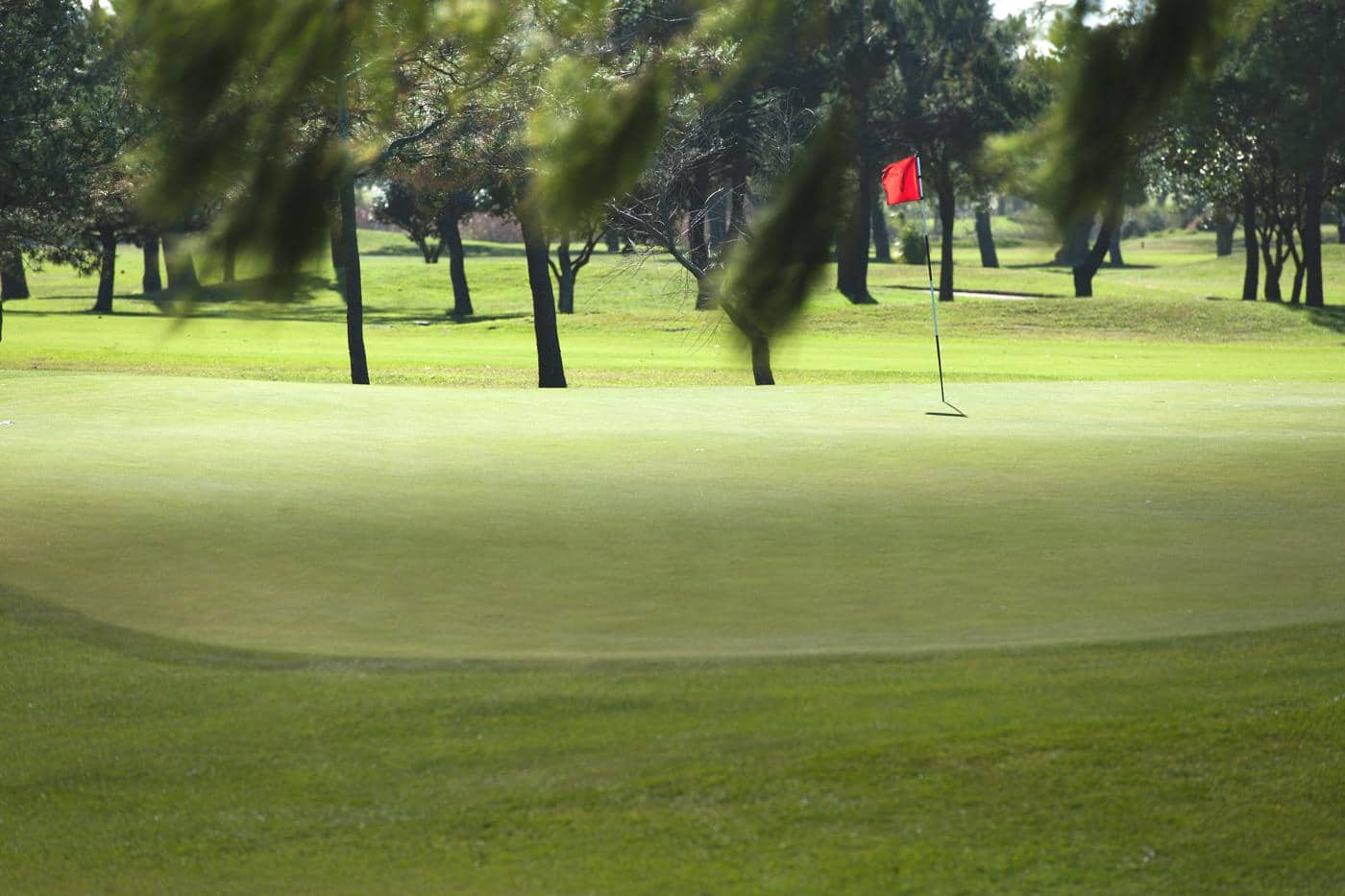 Royal Cape Golf Club, Cape Town, South Africa. Golf Planet Holidays