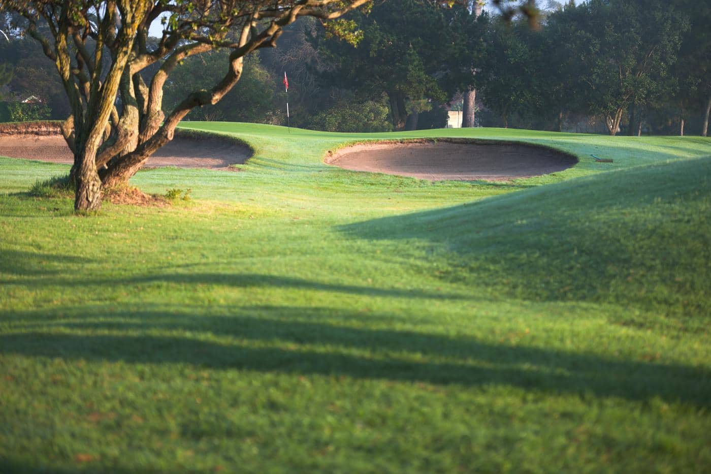 Royal Cape Golf Club, Cape Town, South Africa. Golf Planet Holidays