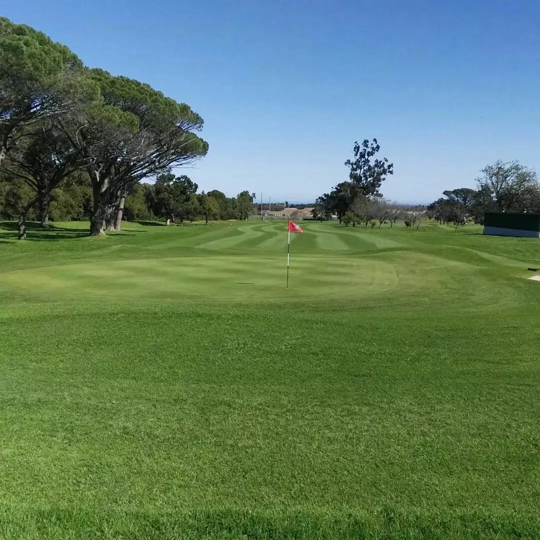 Immaculate conditions at Somerset West Golf Club, Western Cape, South Africa. Golf Planet Holidays.