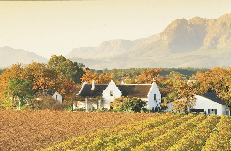 Visit a wine farm on a sightseeing trip of the Western Cape with Golf Planet Holidays