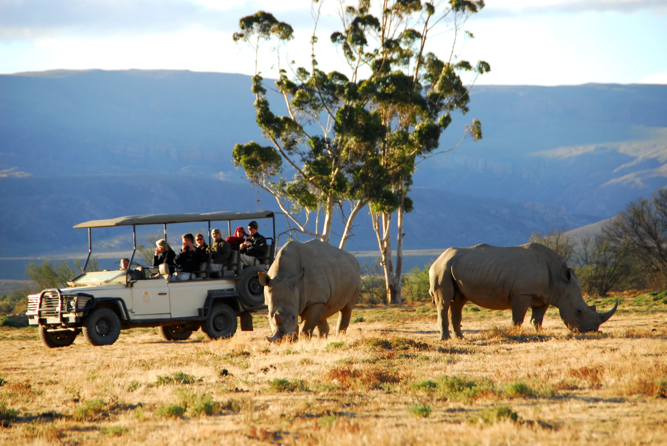 Enjoy a safari excursion on the Western Cape with Golf Planet Holidays.