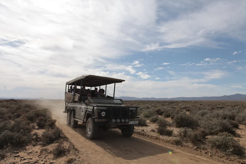 Enjoy a safari excursion on the Western Cape, South Africa with Golf Planet Holidays